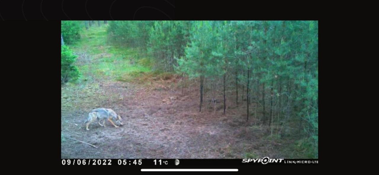 Jagd-Angler-Suite-04-Im-Wald-Am-See Кириц Экстерьер фото